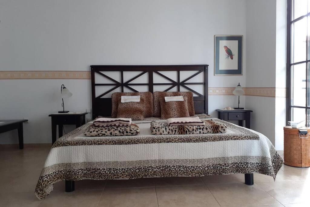 Studio At "The Cliff" Complex South Beach Obzor, Private Appartment A2A5 Екстер'єр фото