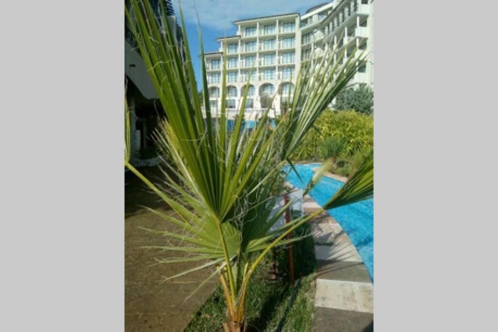 Studio At "The Cliff" Complex South Beach Obzor, Private Appartment A2A5 Екстер'єр фото